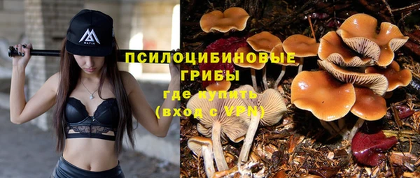 прущий лед Заводоуковск