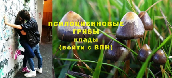 мдпв Заволжье