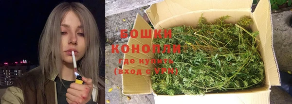 сатива Зеленокумск